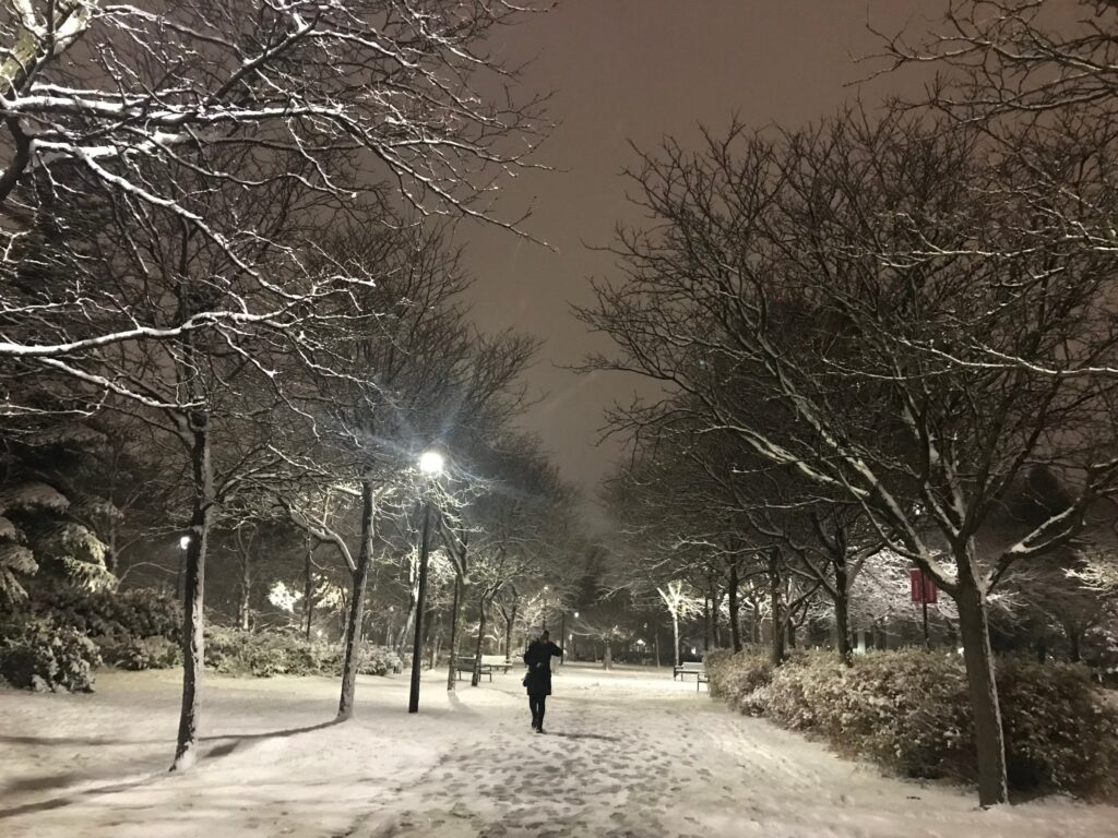 ヨーク大学の冬の留学生活